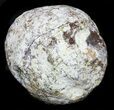 Las Choyas Geode With Amethyst Crystals #33789-3